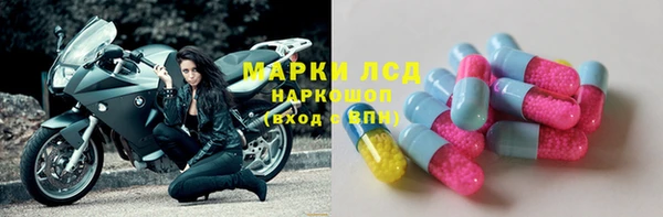 индика Абинск