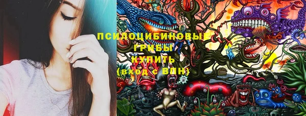не бодяженный Алексин