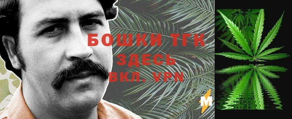 индика Абинск
