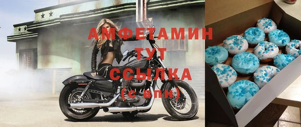 индика Абинск