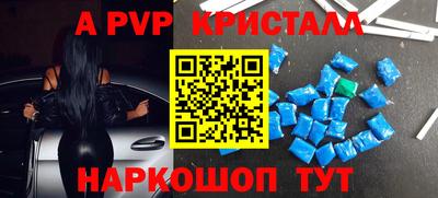 a pvp Кингисепп