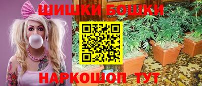 a pvp Кингисепп