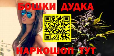 a pvp Кингисепп