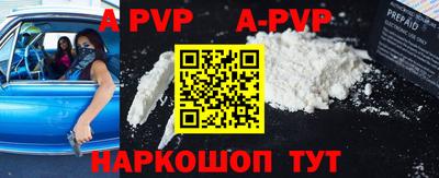 a pvp Кингисепп