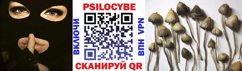 Псилоцибиновые грибы мицелий  даркнет сайт  Магнитогорск 