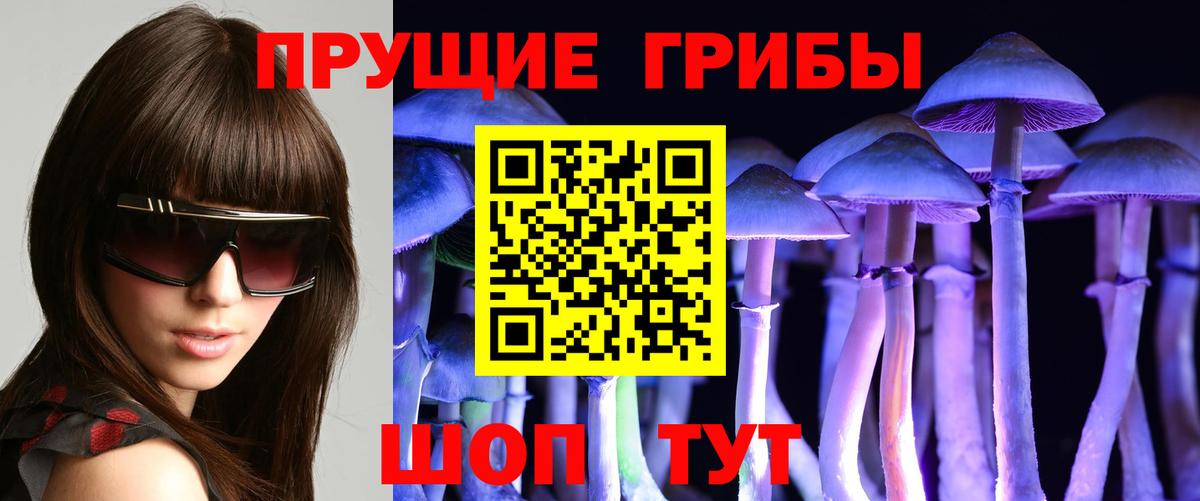 Псилоцибиновые грибы GOLDEN TEACHER Магнитогорск